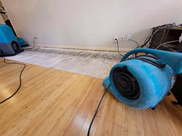 Professional Flood Damage Cleanup technician working in Jerome, MI
